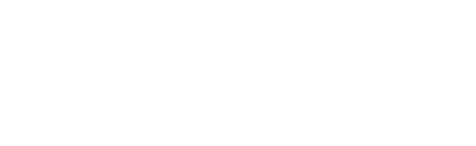 Launchvise Horizontal Logo - White
